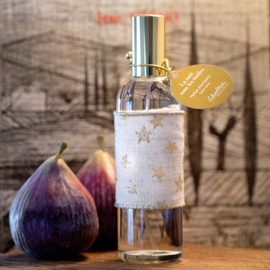 Parfum d'ambiance FRUITS CONFITS